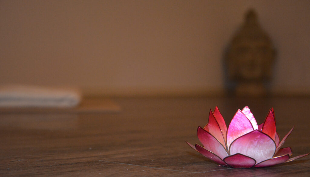 YogaShala - Raum für Yoga